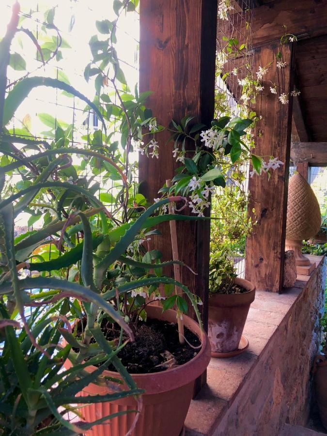 B&B La Fontana Di Pegaso Тіволі Екстер'єр фото