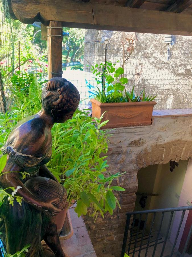B&B La Fontana Di Pegaso Тіволі Екстер'єр фото